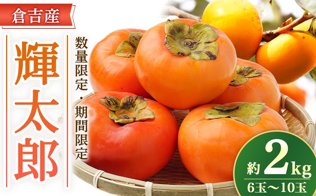 
                  【期間限定】令和8年産 輝太郎 2kg 6玉～10玉（柿） フルーツ 先行予約 柿 倉吉産 ブランド柿 果物 数量限定
                