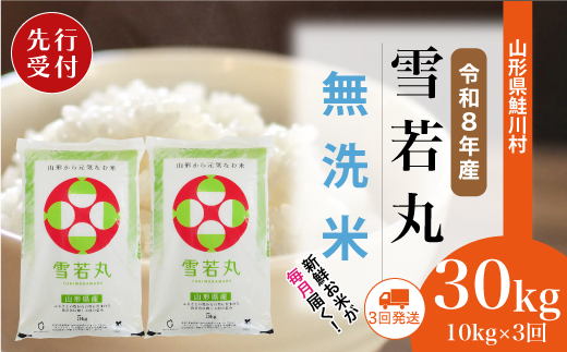 ＜令和8年産米先行受付＞ 令和9年3月上旬より配送開始 雪若丸【無洗米】30kg定期便 (10kg×3回)　鮭川村
