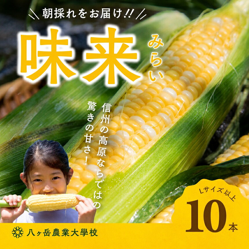 【ふるさと納税】 朝採れ 直送 フルーツのような甘さ 『 皮付き 』 生とうもろこし 10本 | 八ヶ岳農業大学校 とうもろこし トウモロコシ 自然 旨味 甘味 生食 信州 八ヶ岳 長野県 諏訪郡 原村