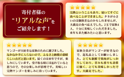 ≪先行予約・数量限定≫ ☆本土最南端☆佐多の果樹園で育てた 完熟アップルマンゴー 約800g ( 2玉 ) 【2026年7月上旬以降順次発送】 ST-406 ｜鹿児島県 南大隅 産地直送 旬 マンゴー