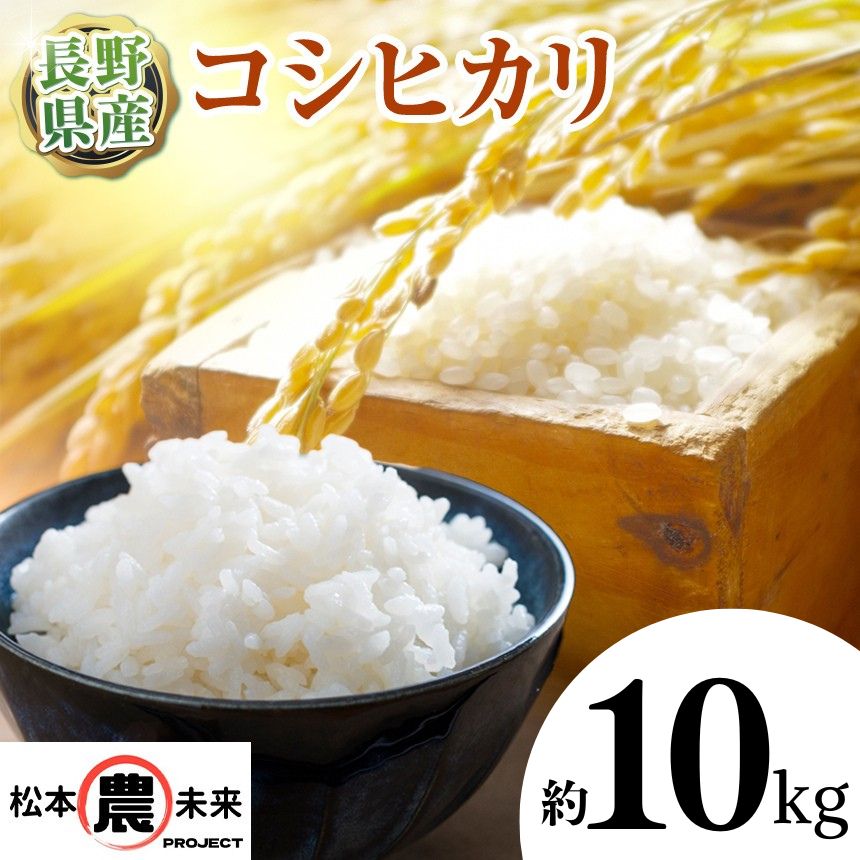 【ふるさと納税】【先行受付】〔松本農未来project〕 信州松本産 こしひかり 10kg │ 信州 米 お米 ご飯 こしひかり 新米 長野県 松本市