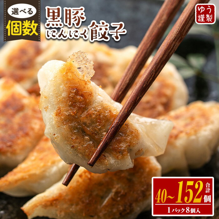 手づくり黒豚にんにく餃子 計50個(10個入り×5P) 特製餃子のタレ付き！