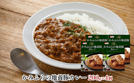 缶ビール(SORACHI1984)8缶＆地養豚カレー4箱セット 北海道 上富良野町 ソラチ1984 地ビール ビール カレー 缶 サッポロビール サッポロ ギフト お酒 惣菜 レトルト インスタンスカ