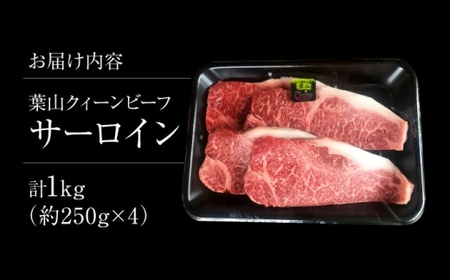 葉山クィーンビーフ サーロイン 250gx4／ 牛肉 サーロイン 黒毛 ステーキ 【株式会社石井ファーム葉山マルシェ】[ASCD018]