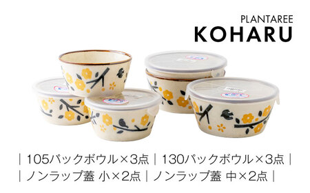 【美濃焼】PLANTAREE-KOHARU- パックボウル 10組セット（2サイズ×3個 蓋4枚付）【みのる陶器】美濃焼 セット 保存 保管 容器 食器 おしゃれ キッチン用品 国産 陶器 中鉢 取り