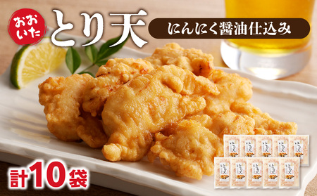 A03048 おおいたとり天 10袋セット