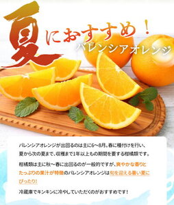 【2027年先行予約】希少な 国産 バレンシアオレンジ 7kg 【家庭用 訳あり】【国産オレンジ オレンジ 柑橘 フルーツ 和歌山 有田】_G7080