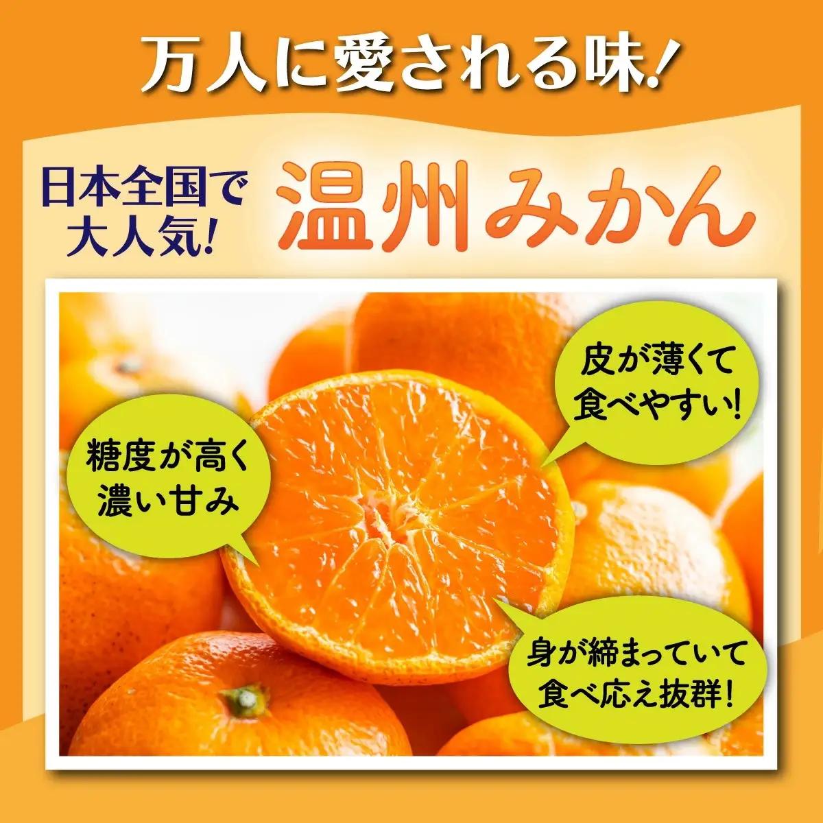 温州みかん 約8kg 佐賀県鹿島産 サイズ混合 | 《先行受付11月上旬より発送予定》みかん ミカン 甘い 小玉含む フルーツ 果物 果実 くだもの 蜜柑 柑橘 国産 冬季 大容量 家庭用 贈答 お取