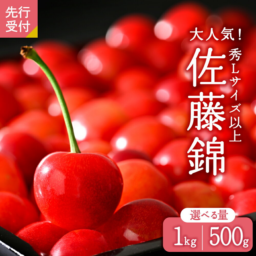 【ふるさと納税】 さくらんぼ 佐藤錦 バラ詰 秀品 L サイズ ( 選べる内容量 500g / 1kg [500g×2])【 数量限定 先行予約 】| 令和7年産 フルーツ 果物 オススメ 人気 バラ 産地直送 送料無料 お取り寄せ 贈答 ギフト プレゼント 初夏 旬 山形県 河北町