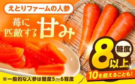 北海道 訳ありにんじん 3kg（土付き）にんじん にんじん にんじん [BEBA004] 