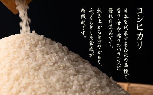 【令和８年産】　先行予約受付中！水野農園の加須市北川辺産　コシヒカリ　10kg　《選べる！精米or玄米》｜お米　米　令和８年　こしひかり