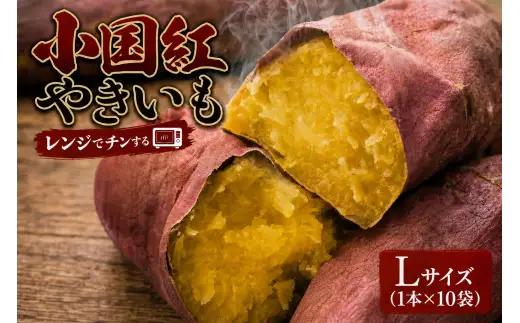 小国紅 「 レンジでチン 」 3kg （ Lサイズ 1本 × 10本 ） × 2箱 計6kg やさい 野菜 甘み 国産 熊本県産 サツマイモ さつまいも 芋 濃厚 ミネラル スイーツ 【 2026年1