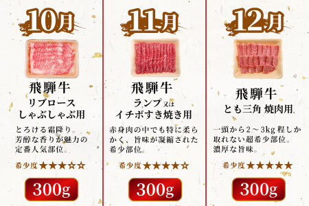 飛騨牛 希少部位 定期便 全6回 計1.86kg 2人前相当 すき焼き しゃぶしゃぶ ステーキ 焼肉 BBQ リブロース ランプ イチボ とも三角 ミスジ  ブランド牛 牛肉 肉 肉のひぐち