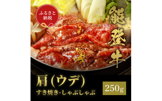[№5784-1351]肉【和牛セレブ】能登牛　牛肩(うで) すき焼き・しゃぶしゃぶ 250g 黒毛和牛 霜降り ギフト 石川県 能美市