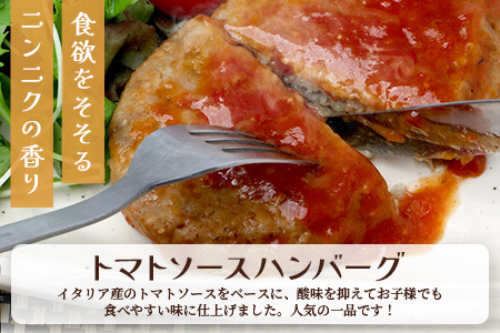 レンチン ハンバーグ ≪トマトソース・ホワイトソース≫ 合計10個 067-0706