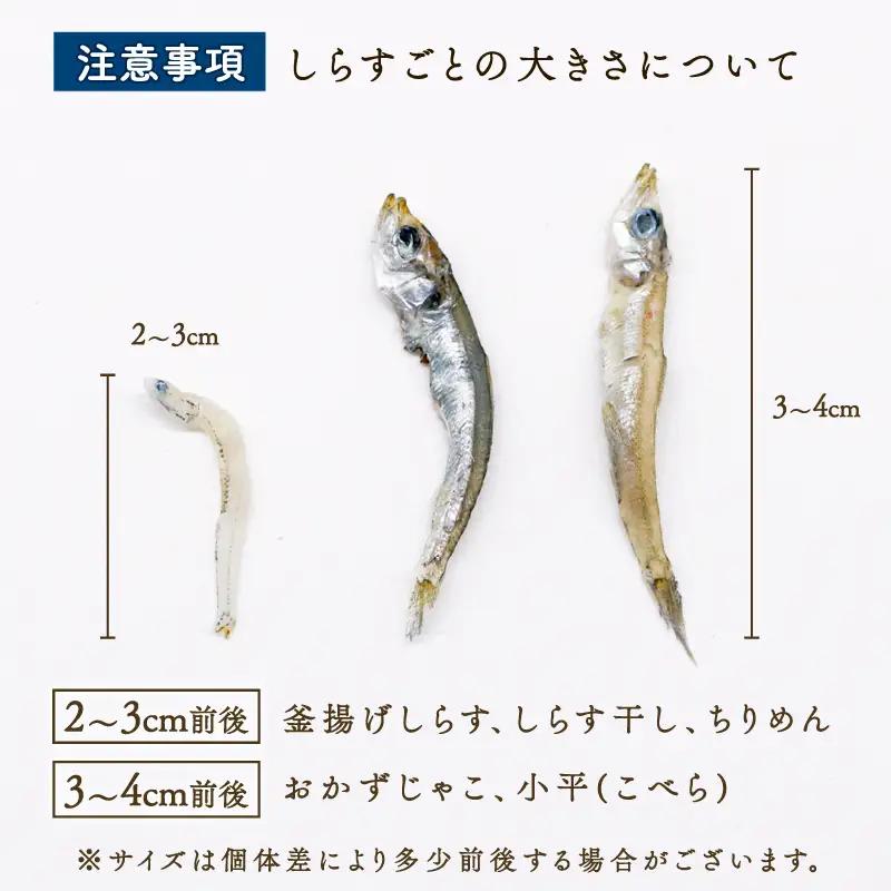 【定期便6回】乾燥ちりめんじゃこ(上干ちりめん) 900g