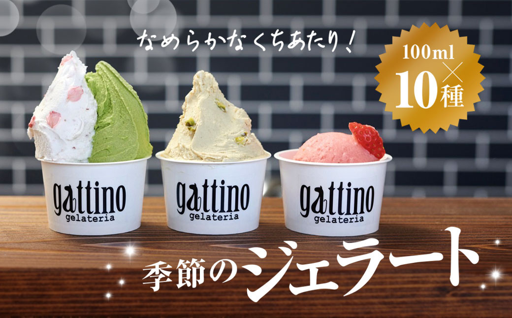 
gelateria gattino 季節のジェラートおすすめ１０種セット /ANBB002
