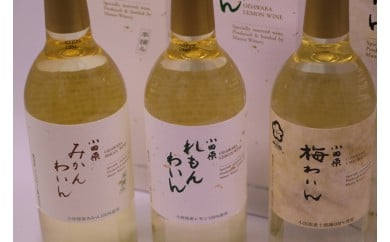 
城下町小田原の飲み比べわいんCセット(3本セット)
