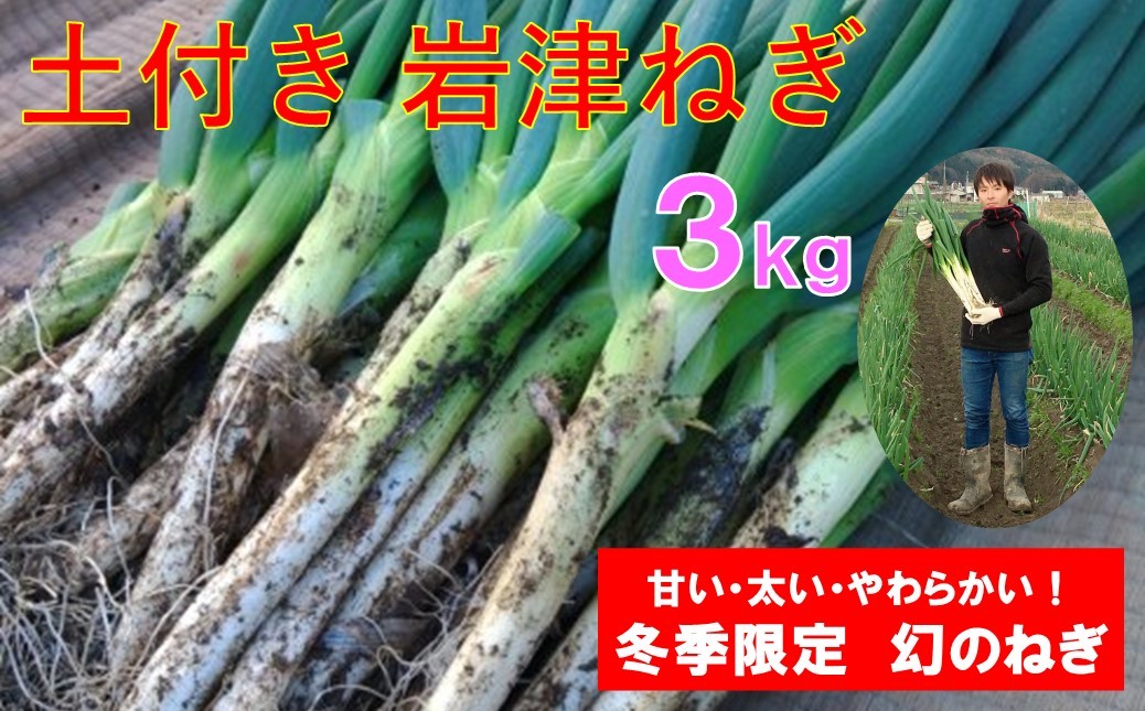 
            土付き岩津ねぎ 3kg 箱入り  【田中農園】 岩津ねぎ いわつねぎ ねぎ ネギ 長ネギ 長ねぎ 冬季限定 朝来市限定 甘い 太い 軟らかい すき焼き 天ぷら 焼きねぎ 鍋物 メディア紹介多数！
          