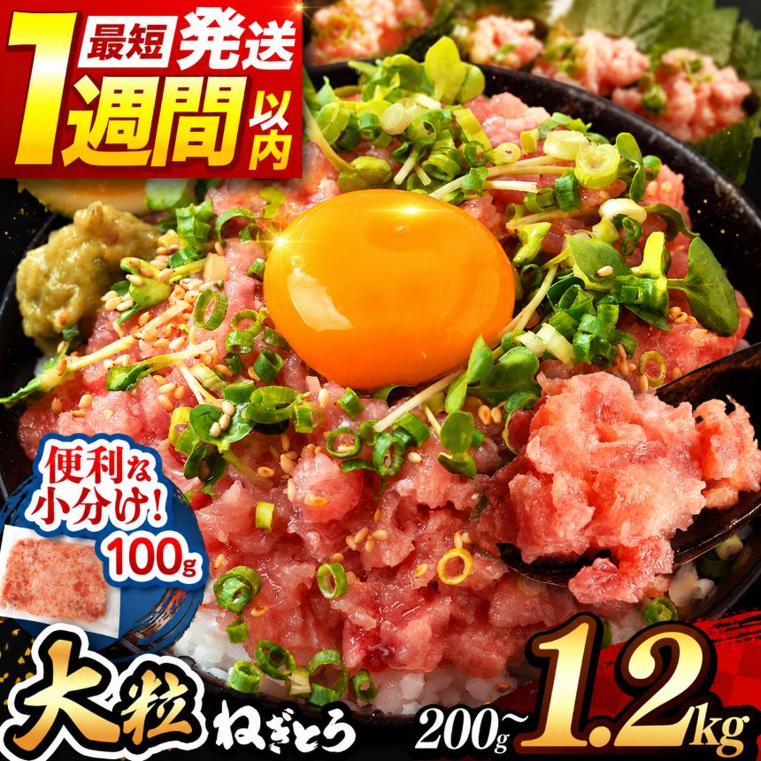 【ふるさと納税】 ネギトロ 100g パック （大盛り1人前） 定期便 200g 400g 500g 900g 1200g 1週間以内発送 | お試し ねぎとろ まぐろ 小分け 手詰め | 清幸丸水産 ランキング 高評価 たたき タタキ 鮪 maguro 手巻き ユッケ イチオシ 千葉県 君津市 きみつ