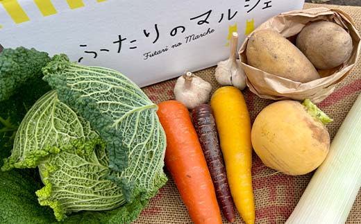 季節の彩り野菜セットMサイズ(9～11品) 野菜 詰め合わせ 新鮮 産地直送 北海道 江別市 EB8-0154