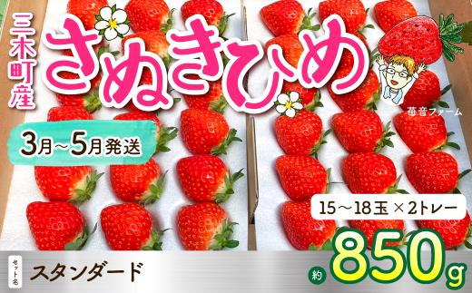 1101　苺音スタンダード～春の大粒のさぬきひめいちご～ 約850ｇ