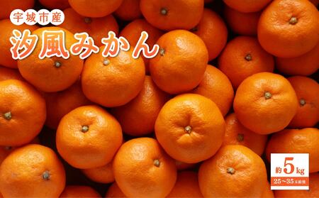 先行予約 宇城市産 汐風みかん 約5kg【2025年11月上旬-2026年1月下旬発送予定】【のむちゃん農園】