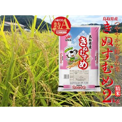 ふるさと納税 湯梨浜町 鳥取県産きぬむすめ◇精米2kg◇令和7年産(45M.)