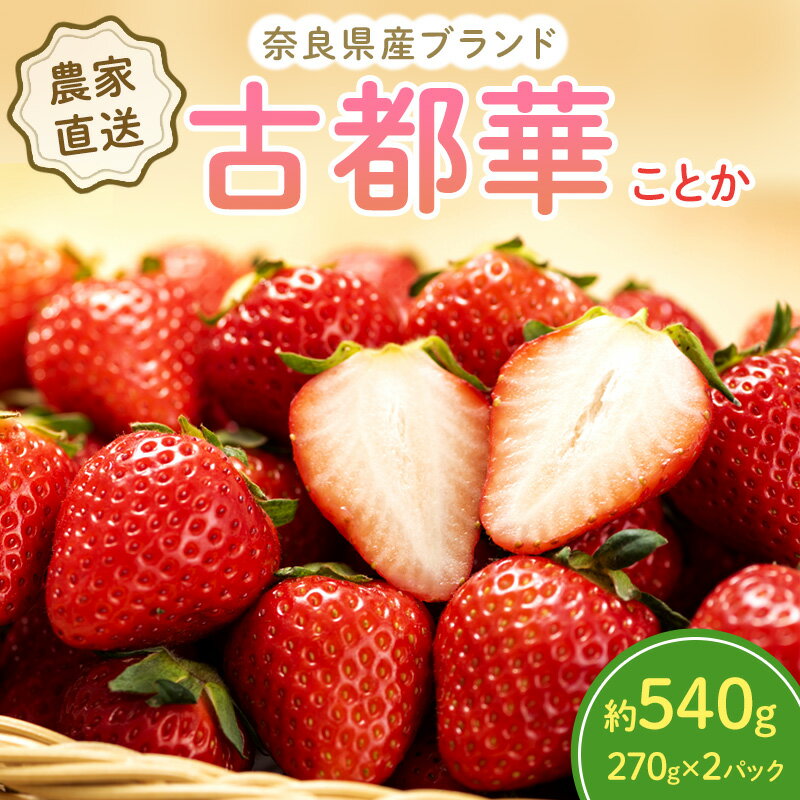 【ふるさと納税】いちご 奈良県産 古都華 約540g(270g× 2パック ) セット 高評価 フルーツ 果物 旬 産地直送 農家直送 完熟 旬のフルーツ 旬の果物 お取り寄せ おやつ デザート ことか イチゴ 冷蔵 冷蔵配送 奈良 大和郡山市　お届け：2026年1月中旬～2026年4月上旬