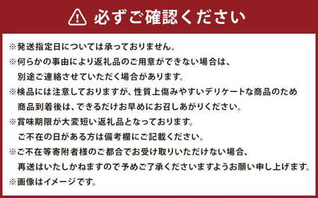 岩手にのへきゅうり【訳アリ・Ｃ品】10kg 【2025年7月中旬から2025年9月下旬発送予定】／訳あり きゅうり キュウリ 胡瓜 野菜 C品 新鮮 採れたて 直送 夏野菜 お取り寄せ 旬 産直 産地