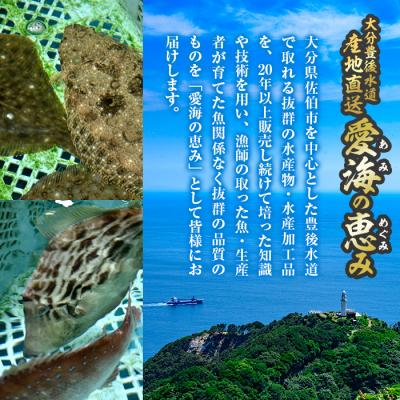 ふるさと納税 佐伯市 天然 真鯛 (約1.8-2kg・1枚) |  | 02