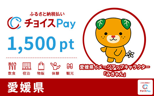 
愛媛県チョイスPay 1,500pt（1pt＝1円）【会員限定のお礼の品】
