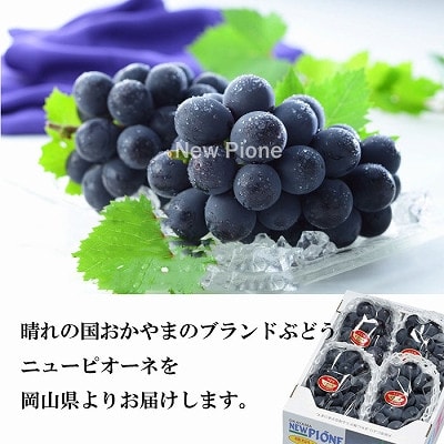 【2024年6月下旬より発送】岡山県産　ニューピオーネ　2kg(3房〜6房)【配送不可地域：離島・北海道・沖縄県】【1315170】