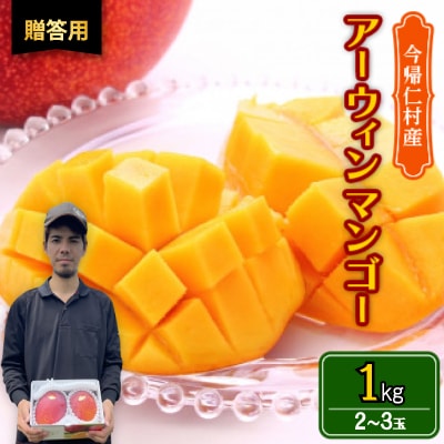 【2026年6月から順次発送・贈答用】仲本マンゴー園のアーウィンマンゴー1kg(2～3玉)【配送不可地域：離島】