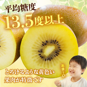 【10月中旬より】さぬきゴールドキウイ「黄様」16個入り【数量限定】