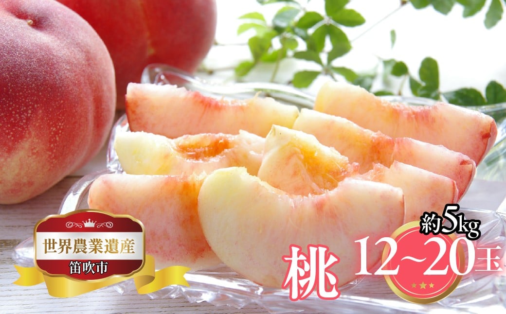 
            【2026年発送★先行予約】山梨県笛吹市産　桃　約5ｋｇ　12玉～20玉　223-021-26y
          