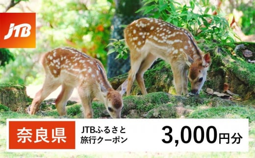 【奈良県】JTBふるさと旅行クーポン（3,000円分）有効期間3年（Eメール発行）｜旅行 トラベル 予約 国内旅行 JTB 宿泊 観光 体験 旅行券 宿泊券 旅行予約  ホテル 旅館 チケット 子供 子連れ カップル 家族 人気 おすすめ 旅行クーポン 店頭 オンライン ネット予約 電話 有効期間3年