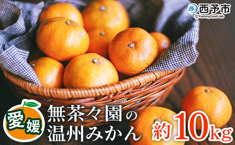 【先行予約】＜無茶々園 温州みかん 約10kg＞ 果物 くだもの ミカン 蜜柑 柑橘 フルーツ うんしゅうみかん 贈り物 ギフト おいしい 期間限定 季節限定 食べて応援 特産品 愛媛県 西予市