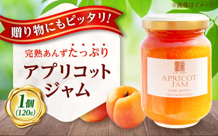 田尻あんず アプリコットジャム 1個入り [BAEK002] ジャム