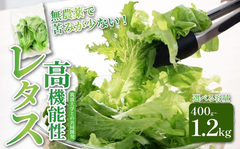 
            高機能性 レタス 無農薬 選べる容量 400g~1.2kg サラダ 生野菜 選べる3品種 フリルレタス グリーンリーフ グリーンオーク 産地直送 高機能性野菜 水耕栽培 新鮮 健康 弁当 フードロス ダイエット ベジタブル ヴィーガン ベジタリアン アイクス 埼玉県 羽生市 
          