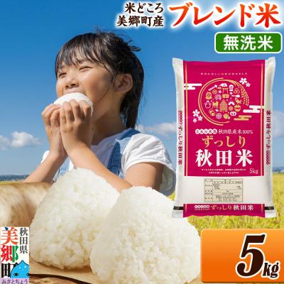 ふるさと納税 美郷町 ブレンド米【無洗米】精米 5kg(5kg×1袋)|01_ssn-010501m