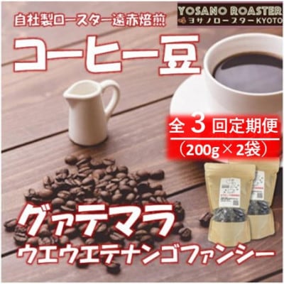 【毎月定期便】コーヒー豆　グァテマラ ウエウエテナンゴファンシー　200g×2　遠赤外線焙煎全3回【配送不可地域：離島】【4063190】