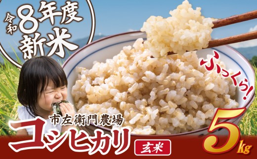令和8年産 コシヒカリ 5kg （玄米）│ 米 こめ こしひかり 茨城県産こしひかり 定期便 茨城産こしひかり 茨城こしひかり コシヒカリ ご飯 5キロ 2026年産 茨城県産 茨城県 つくば市