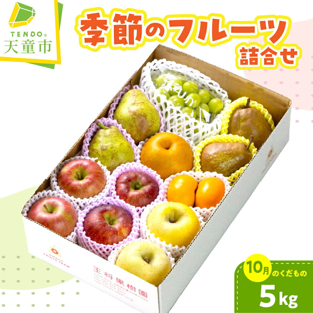 【ふるさと納税】 季節 の フルーツ 詰合せ ( 10月分 ) 5kg 令和8年産 先行予約 2026年 桃 白桃 黄桃 ぶどう 大粒 りんご 和梨 西洋梨 梨 柿 かき 果物 くだもの フルーツ 山形 お取り寄せ 産地直送 送料無料【 山形県 天童市 】