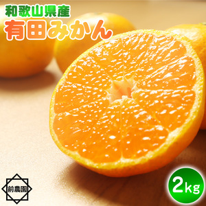 【2026年先行予約】【産地直送】和歌山県産 有田みかん 2kg サイズ混合_BL6168