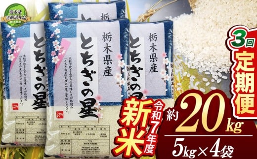 【栃木県共通返礼品】【先行予約】【定期便3回】とちぎの星 20kg（5kg×4袋） | 米 こめ コメ kome 白米 精米 お米 とちぎのほし トチギノホシ ﾄﾁｷﾞﾉﾎｼ 粘り 弾力 冷めても美味しい 丼もの カレー 新米 栃木米 令和7年度米 令和7年度 2025年度米 2025年度 ブランド米 栃木県 特産品 送料無料 栃木県 下野市 しもつけ市