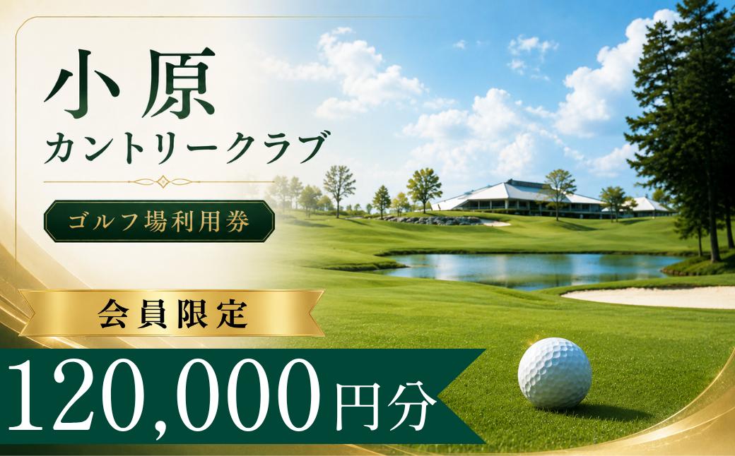 
                  【会員限定】小原カントリークラブ ゴルフ場利用券40枚(120000円分) | 小原カントリー クラブ 小原カントリークラブ ゴルフ場 ゴルフ利用券 共通利用券 ゴルフ場の利用券 ゴルフ プレー券 ゴルフチケット ゴルフプレー ラウンド 利用券 チケット スポーツ レジャー ごるふ golf 愛知県 豊田市　
                