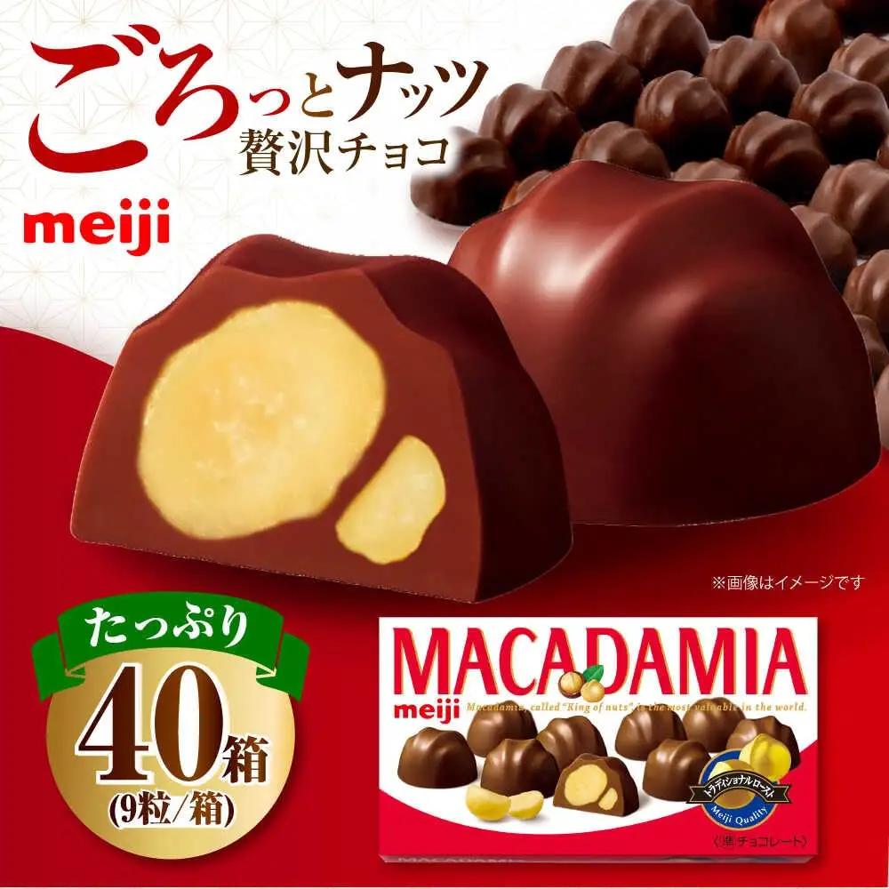 マカダミアチョコレート 40箱 AOAA066 チョコレート