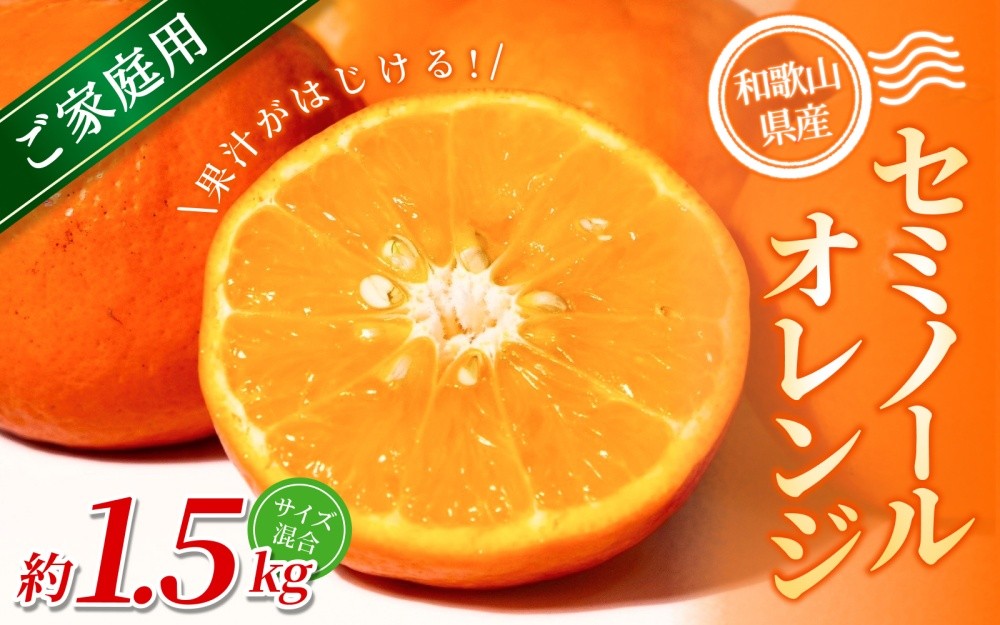 
            【ご家庭用】手選別 セミノールオレンジ 約1.5kg 和歌山県産 2S~2Lサイズ混合※2026年4月中旬～5月中旬頃に順次発送【mrmt026】
          