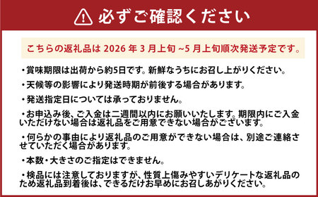《先行予約》 アスパラガス 800g （2L～Lサイズ） 【2026年3月上旬-5月上旬 発送予定】 | 神戸ファーム 野菜 アスパラ 新鮮 旬 グリーンアスパラ